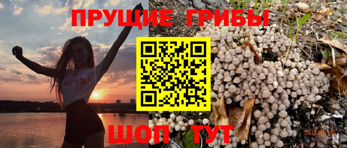 Галлюциногенные грибы GOLDEN TEACHER Хабаровск