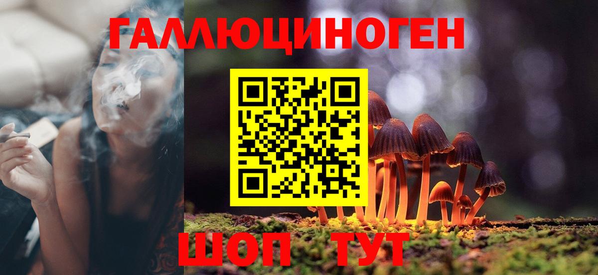 Псилоцибиновые грибы мухоморы  Вход с VPN  Галлюциногенные грибы Psilocybe  сколько стоит  Хабаровск 
