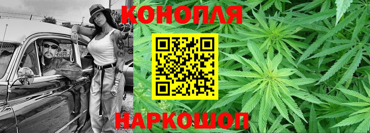 Конопля сатива  Вход с VPN  Хабаровск  Канабис ГИДРОПОН 